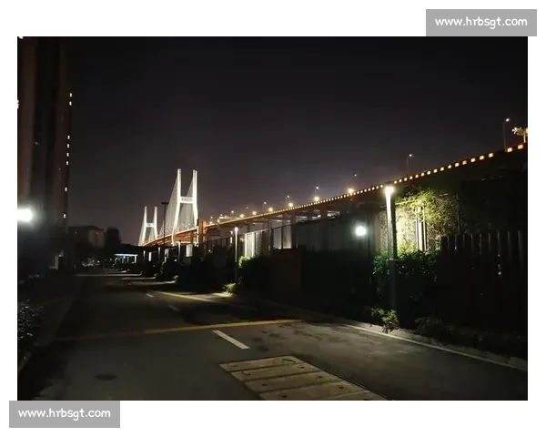 夜骑西湖:杭州青年的浪漫通勤美学 夜骑西湖:杭州青年的浪漫通勤美学